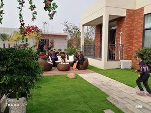 美庐天下城爆料视频最新,全新城市生活画卷即将展开